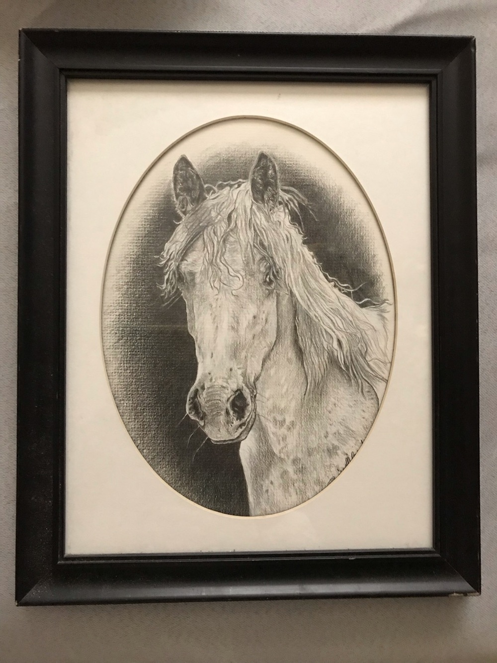 Framed White Horse Charcoal Pencil Portrait Wall Art